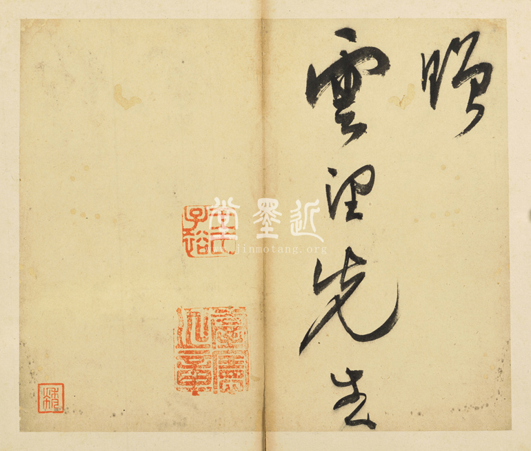 王問  草書七言詩贈雲望先生冊