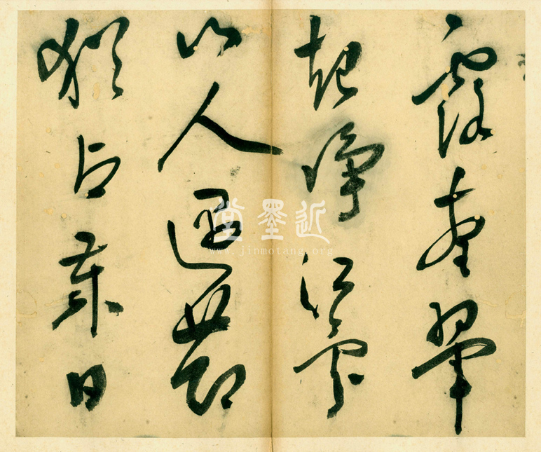 王問  草書七言詩贈雲望先生冊