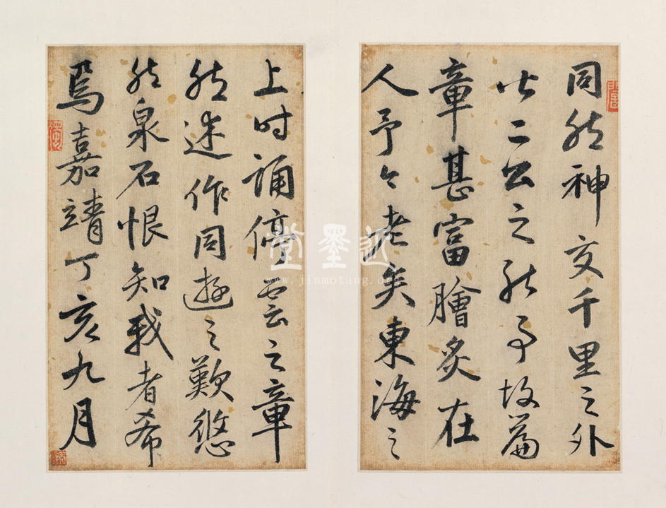 陸深  行草白雁詩冊